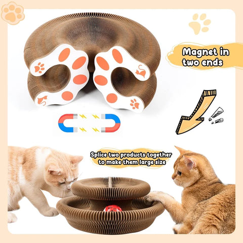 Magic Organ Board Toy for Kitten and Cats