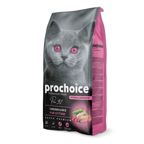 Pro37 Chicken & Rice Recipe | Kitten