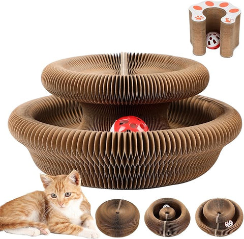 Magic Organ Board Toy for Kitten and Cats