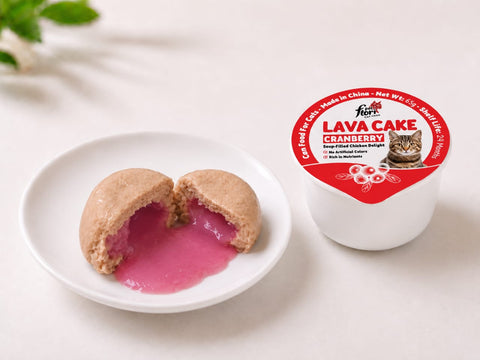 Flori Pet Lava Cake Cat Treat - Cranberry – 65 Gram
