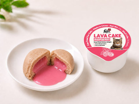 Flori Pet Lava Cake Cat Treat - Raspberry – 65 Gram