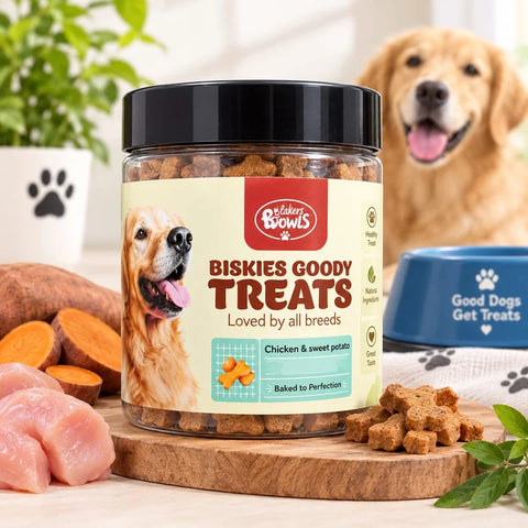 Little Paws Biskies Dog Goody Treats For All Breeds 250g