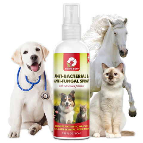 FLUFF N BUFF ANTI BACTERIAL & ANTI FUNGAL SPRAY 100Ml