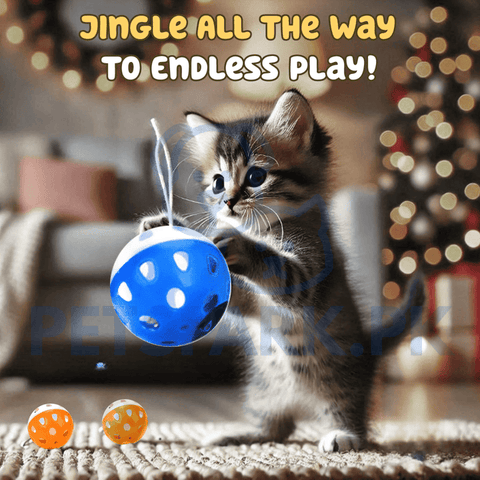 Cat Ball Jingle Balls Single Piece